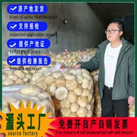 银耳;蘑菇;猴头菇