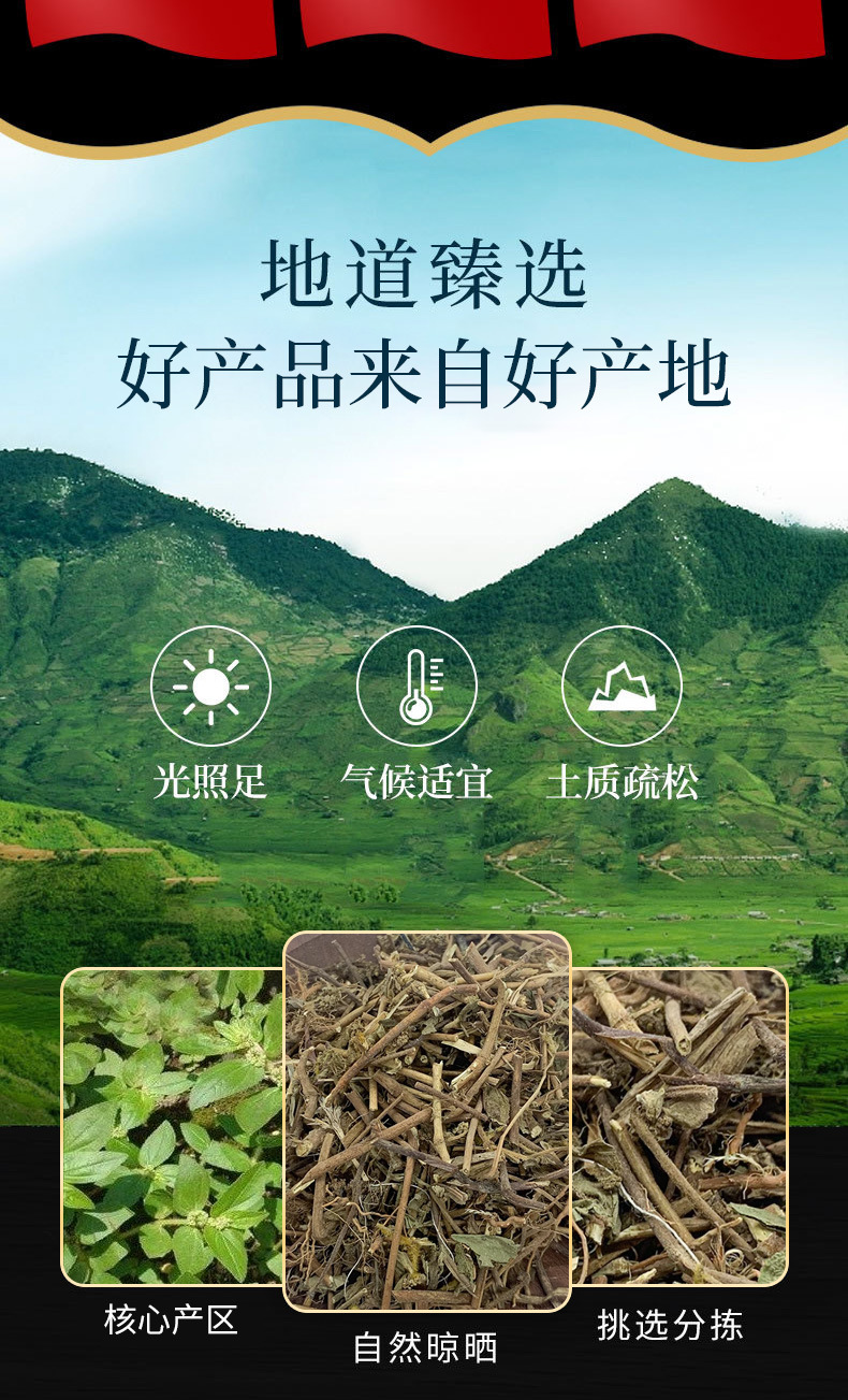 Fei Yang Cao (Euphorbia hirta) — Dried Herbal Whole Plant, 500g key features
