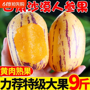 ���C�������r�S���˅�������ˮ�����ϳ���ɳĮ��������Ş��ʮ