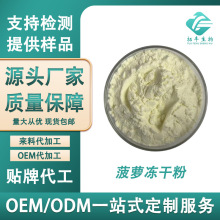 菠萝冻干粉99% FD菠萝粉 冻干菠萝粉 低温冷冻 果蔬冻干粉 现货