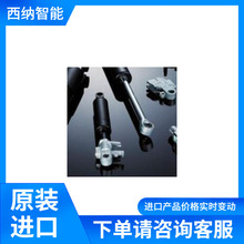 ��SUSPA�⏗�ɹ���