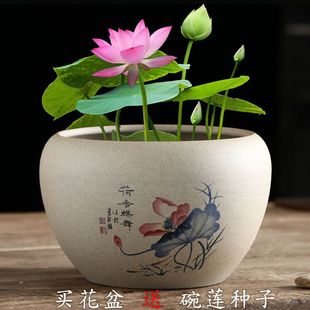 ɏ�������˯ɏ�~�X����ɏˮ�໨���մ�ɏ�҃ȴ�̖��ɰˮ�B����