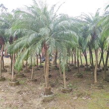 ���� ����ᘿ� 2.5-3.5�׸� ���� �̿��� С���ؙ��