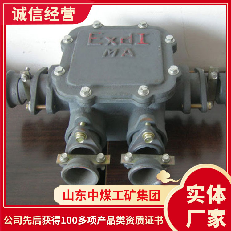BHD矿用隔爆型母线盒性能参数隔爆型母线盒批量发货母线盒