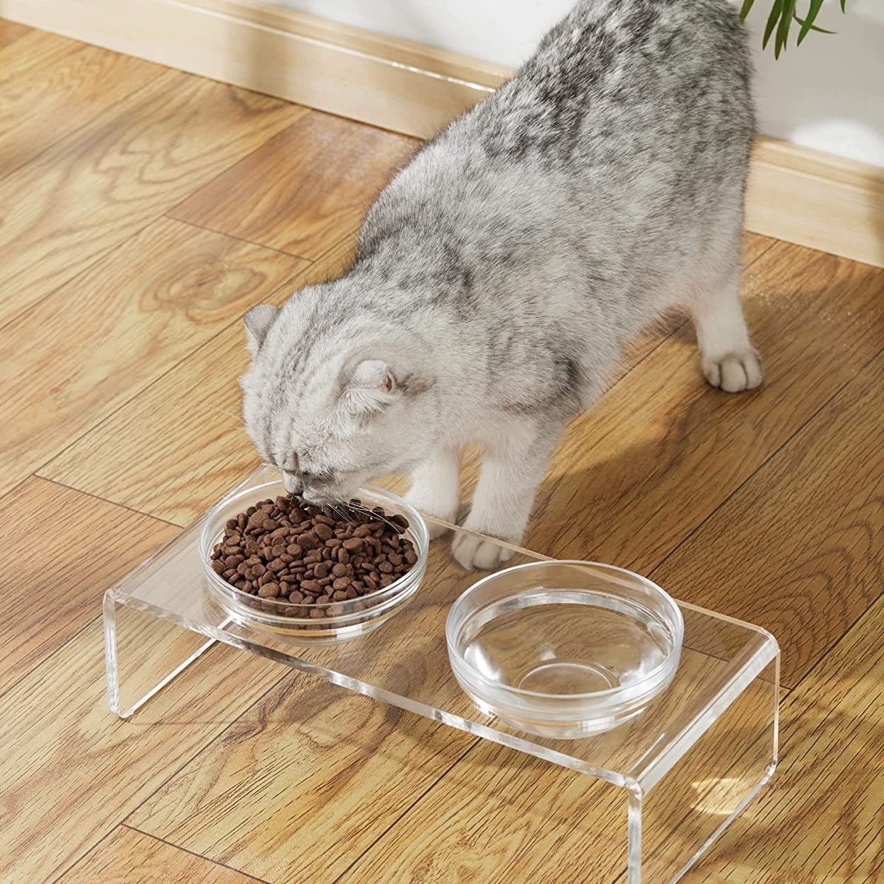 跨境亚克力高架猫狗宠物嵌入式喂食器小型猫犬喂食架易清洁带盆