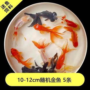 ���~�^�p�~���~���B�ͻ�С���~�m�۵�β�Q피t���{�\���t���~��