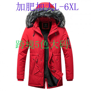 �羳���L����ʿ�޷����\�������������Ӻ������걣ů���b��������