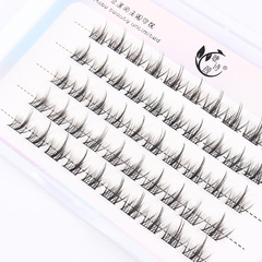 睫詩顏懶人三部曲假睫毛自然款太陽花貓精靈單簇分段式朵毛眼睫毛