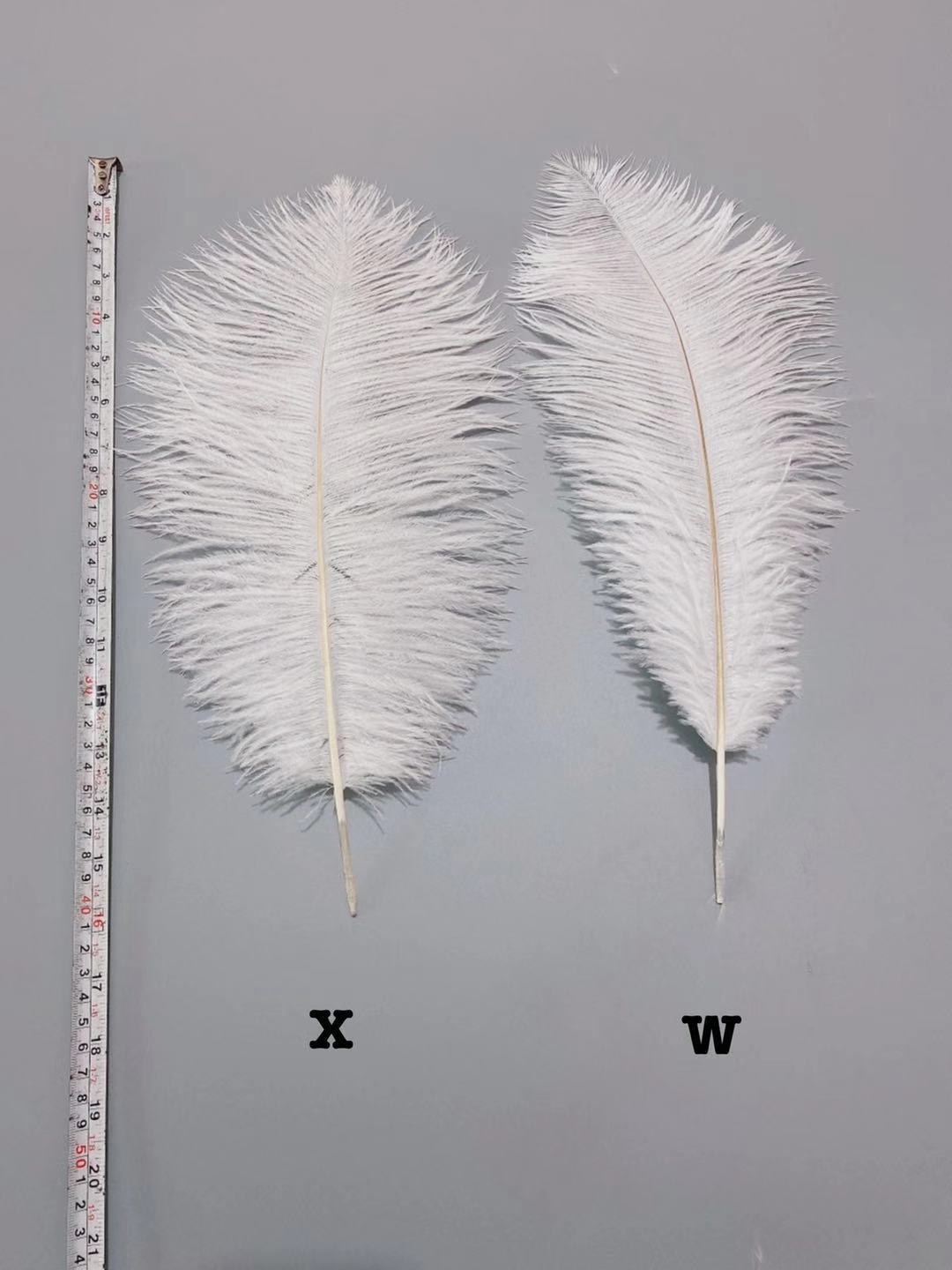 e1ee0a1177ff84bde117a1ce0aa35d