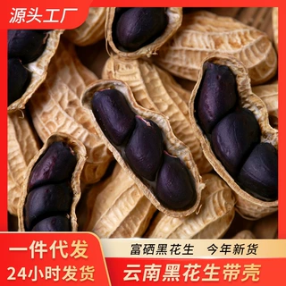云南富硒黑花生大小粒黑花生带壳紫衣花生黑皮生花生