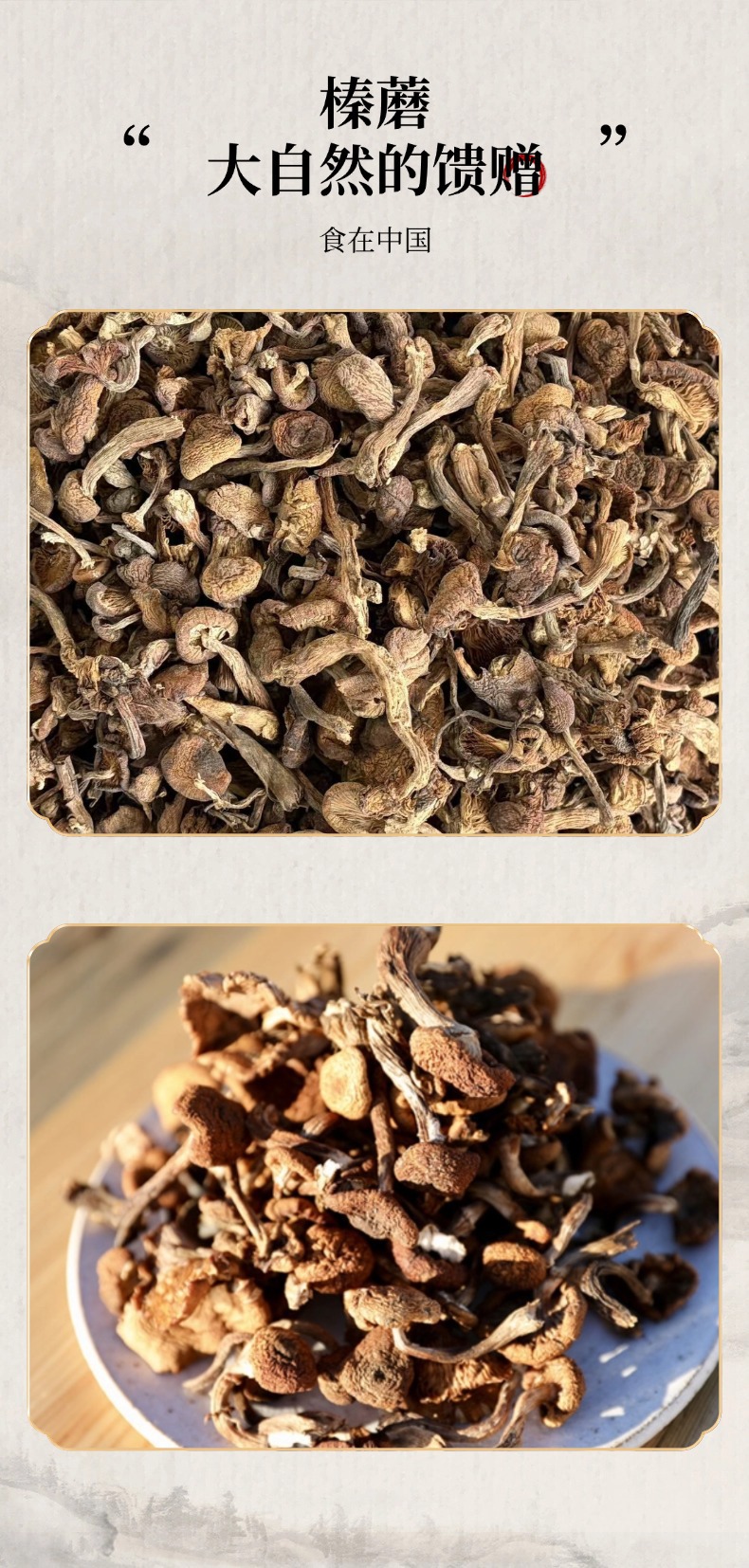 Dried Hazel Mushroom Buds Premium Grade Wild Forest Mushroom for Soup and Stew quality and texture