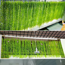 �������~�ٗlֲ�������~����֦�ړ�������l�����~�Gֲ�b���