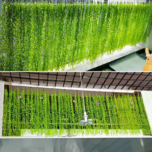 �������~�ٗlֲ�������~����֦�ړ�������l�����~�Gֲ�b���