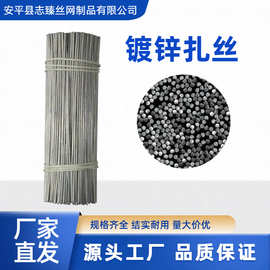 镀锌扎丝绑丝建筑专用家庭手工DIY铁丝捆绑丝号齐全长度可截钢丝