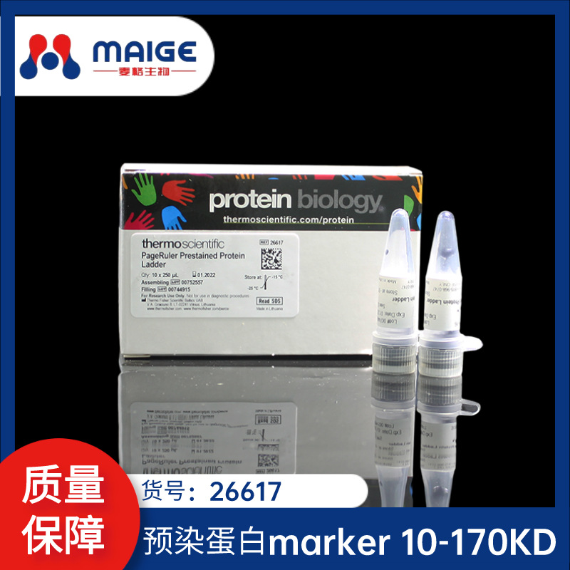 26617 预染蛋白marker （10-170KD）赛默飞