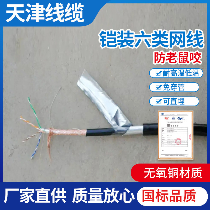Field factory armored ultra-five shielded network cable HSYV53 direct buried armored six types of network cable armored shielded network cable Field factory armored ultra-five shielded network cable HSYV53 direct buried armored six types of network cable armored shielded network cable