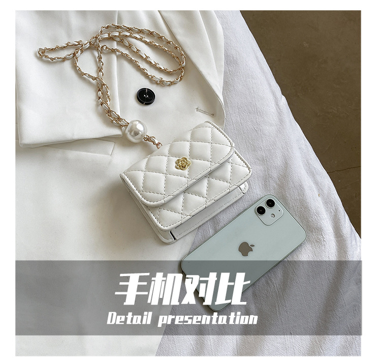 Fashion Chain Shoulder Messenger Small Square Bag Wholesale display picture 24