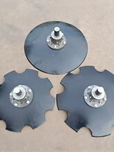 �A�P���_���������C�Ӻ��i䓷����P���ŷ��������N�_��