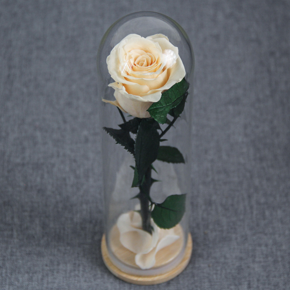 Mayorista rosa inmortalidad día de San Valentín cubierta de vidrio bambú fondo decoración del pequeño príncipe día de San Valentín una rama de rosa inmortalidad