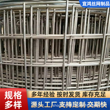 .����늺��W����\늺��W�Ӻ��Bֳ�F�z�W����Ĩ����늺��W�F