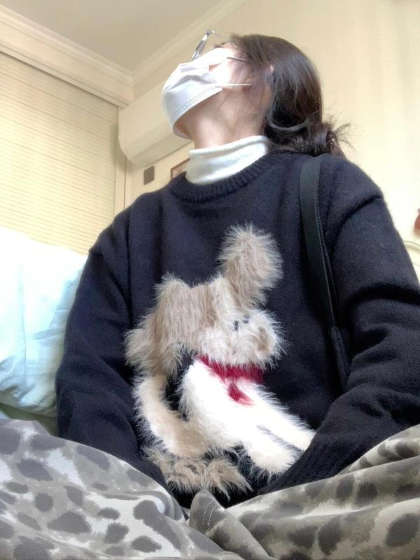 慵懒风小狗提花毛衣女2025秋冬新款休闲宽松套头打底针织衫上衣潮|undefined