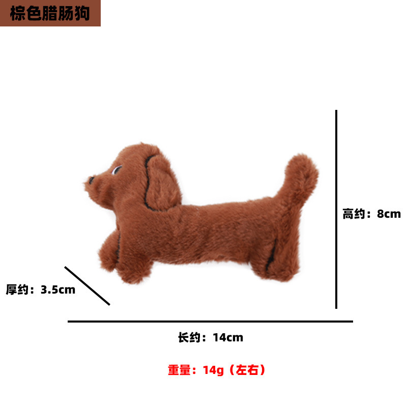 갈색 닥스훈트