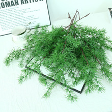 ����Gֲ��˹������ɘ�֦�F��ާ�ٻ��Ҿӻ�c�b[���߼��г�Ʒ