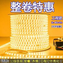 24v36v灯带led户外防水工程塔吊隧道地下室养殖工地白光照明批发