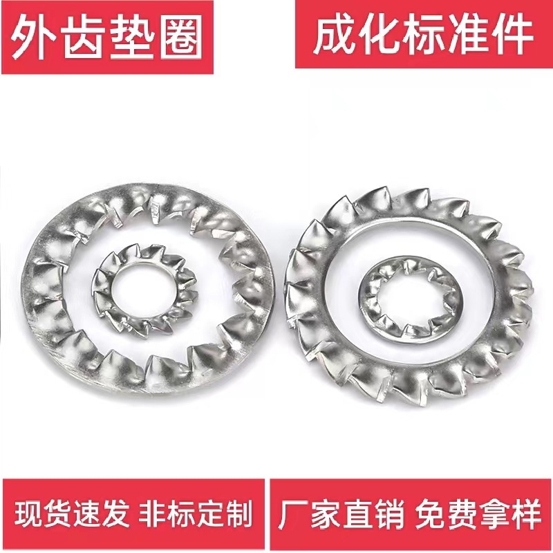 成化 304不锈钢内外齿垫圈多齿锁紧垫圈内外齿形垫片防松止退垫片