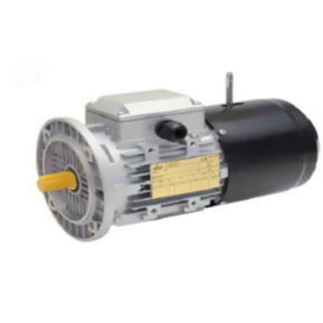 Выдающаяся поставка Seipee Italian AREA FOR 2 3G/3D взрывозащищенного двигателя