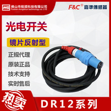 ��׼M12�A�ι���_�P��������������DR12RI-S15Nԭ�b��Ʒ�}�쌍��