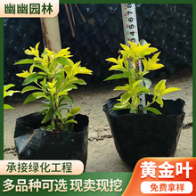 ���l�S���~���B�N�ر�С����G�h���Ԉ@�־G���^�����糣�G�G�h