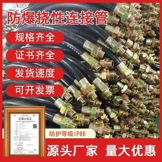 bng防爆软管挠性连接管4/6DN20绕线穿线DN15防腐防爆不锈钢管