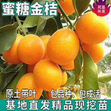 һ�����l���ǽ�ۘ����ϱ���ͥԺ���Լ޽ӽ��X�������Դ�������