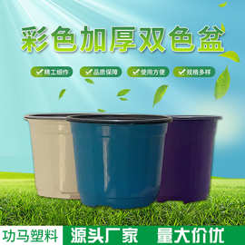 双色多肉花盆绿植园艺加厚pp软塑料花盆容器植物盆栽育苗控根盆