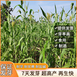 ������N��ι�����ϲ��������������ݷN����ô���ʿ������N��