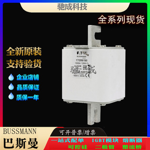 Basman 170m6195 170m6196 170m6197 Brand Direct Supply Factory Price Direct Supply Fast Fuse