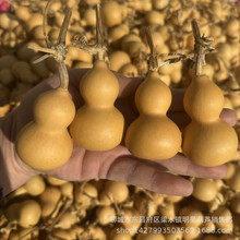 产地直销 天然葫芦 文玩手捻小葫芦 把玩铁包金 小美国草里金葫芦