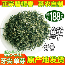 苏州碧螺春2024新茶茶叶明前绿茶茶农直销洞庭花果香250g