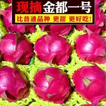 �t�Ļ����� ˮ����һ̖���������ώ����Խ�ϻ������V���t����