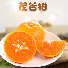 �V��ï�ȸ� ֭��ζ�� ���r���� ����ˮ�����l ���ָ�