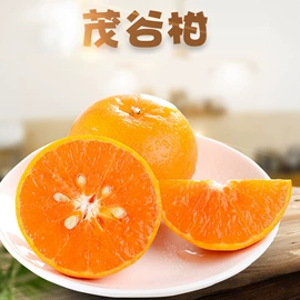 瓜果类;块茎类;苹果