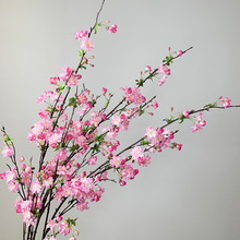 ������ܙѻ����Ļ���֦�һ���c�ѻ����l�Ҿ��b���ؔ[���ٻ�