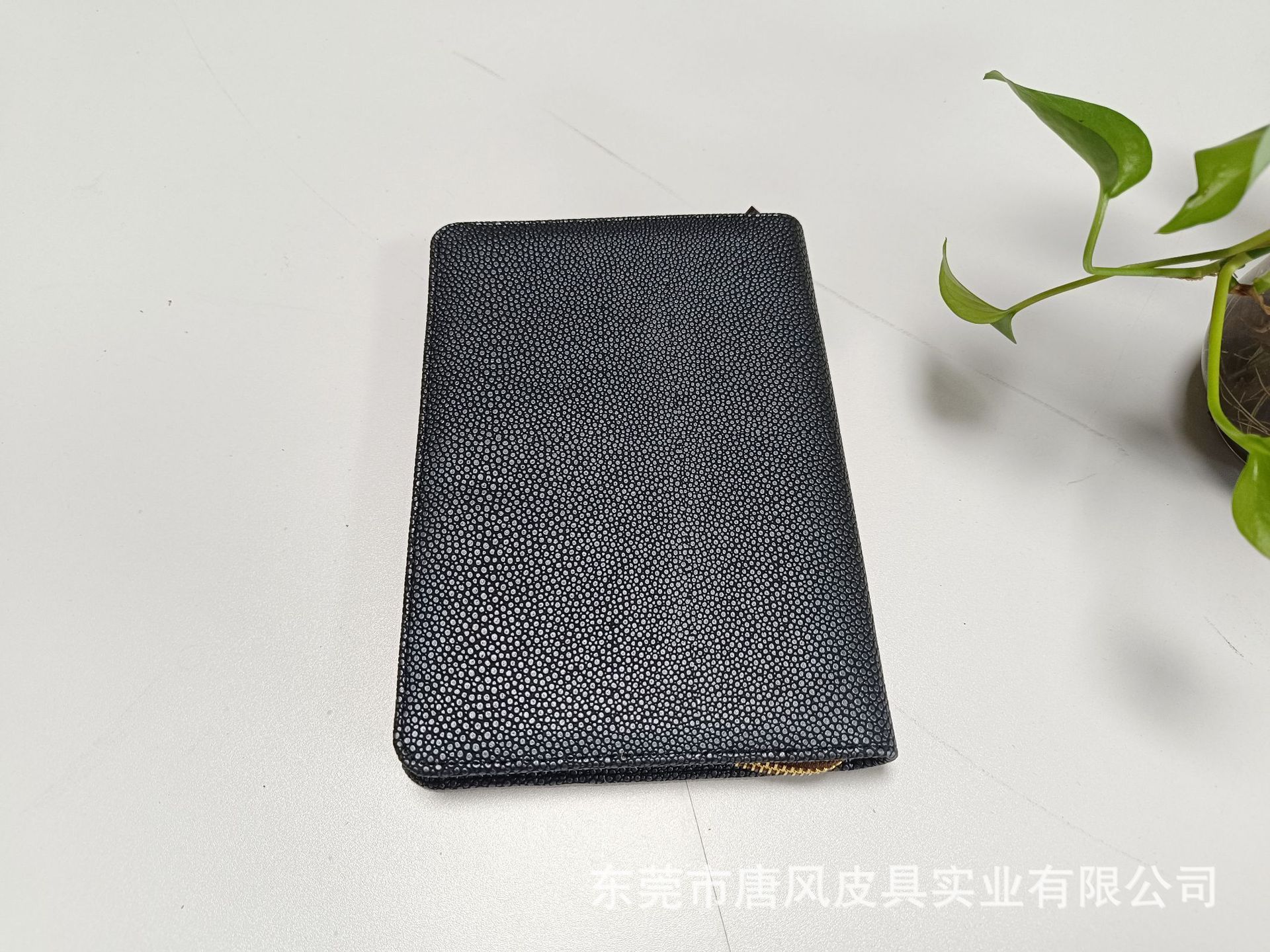 QQ图片20250613103751(2).jpeg