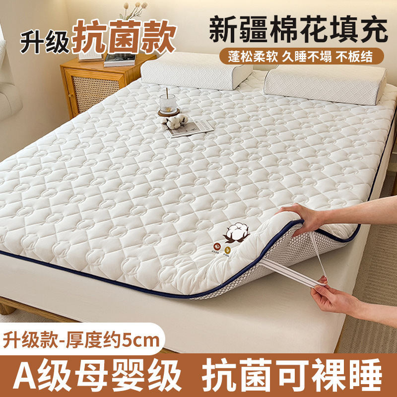 코튼 화이트 [업그레이드된 A등급 항균, 진드기 방지 원단, 두께 약 5cm]