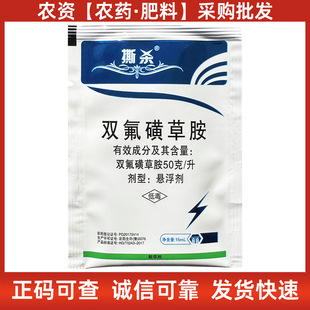 ˺�� �p���ǲݰ� С������݄� ���س��݄� �p���S�ݰ�