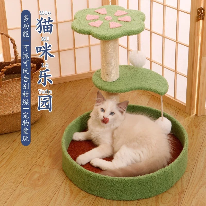 꽃잎 등반 프레임