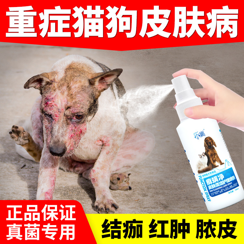 개, 고양이, 개, 딱지, 제모, 붉고 부은 고름 피부 스프레이, 고양이, 가려운 피부, 붉은 발진 및 비듬