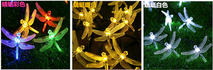 3946959074_170012235_副本_副本.jpg