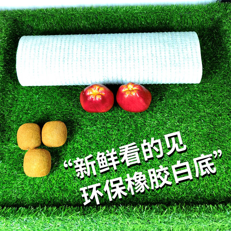 Tapetes para césped Longmai, suministros decorativos para supermercados, tapetes especiales para exhibición de frutas y verduras, césped artificial de plástico, alfombra verde para estantes image 3